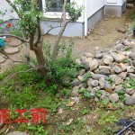 母屋と離れをウリンデッキで連結1