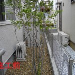 存在感のあるウリンフェンス1