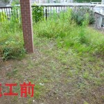 海の見えるウリンデッキ1