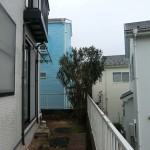 木のぬくもりを求めて1