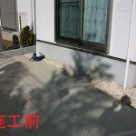 やはりウリンです1