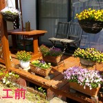 レッドシダーからウリンへ1